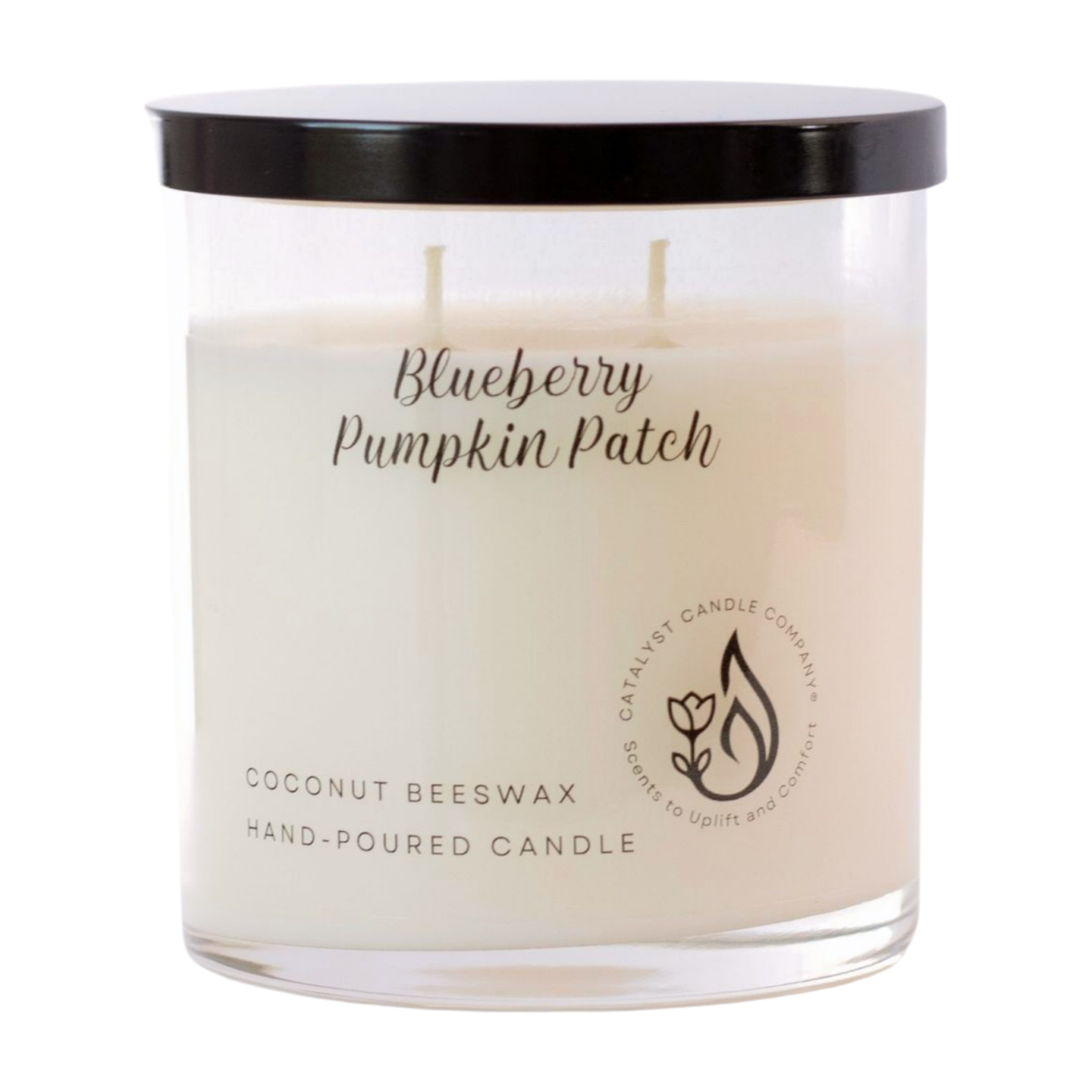 Blueberry Pumpkin Patch Scented Candle