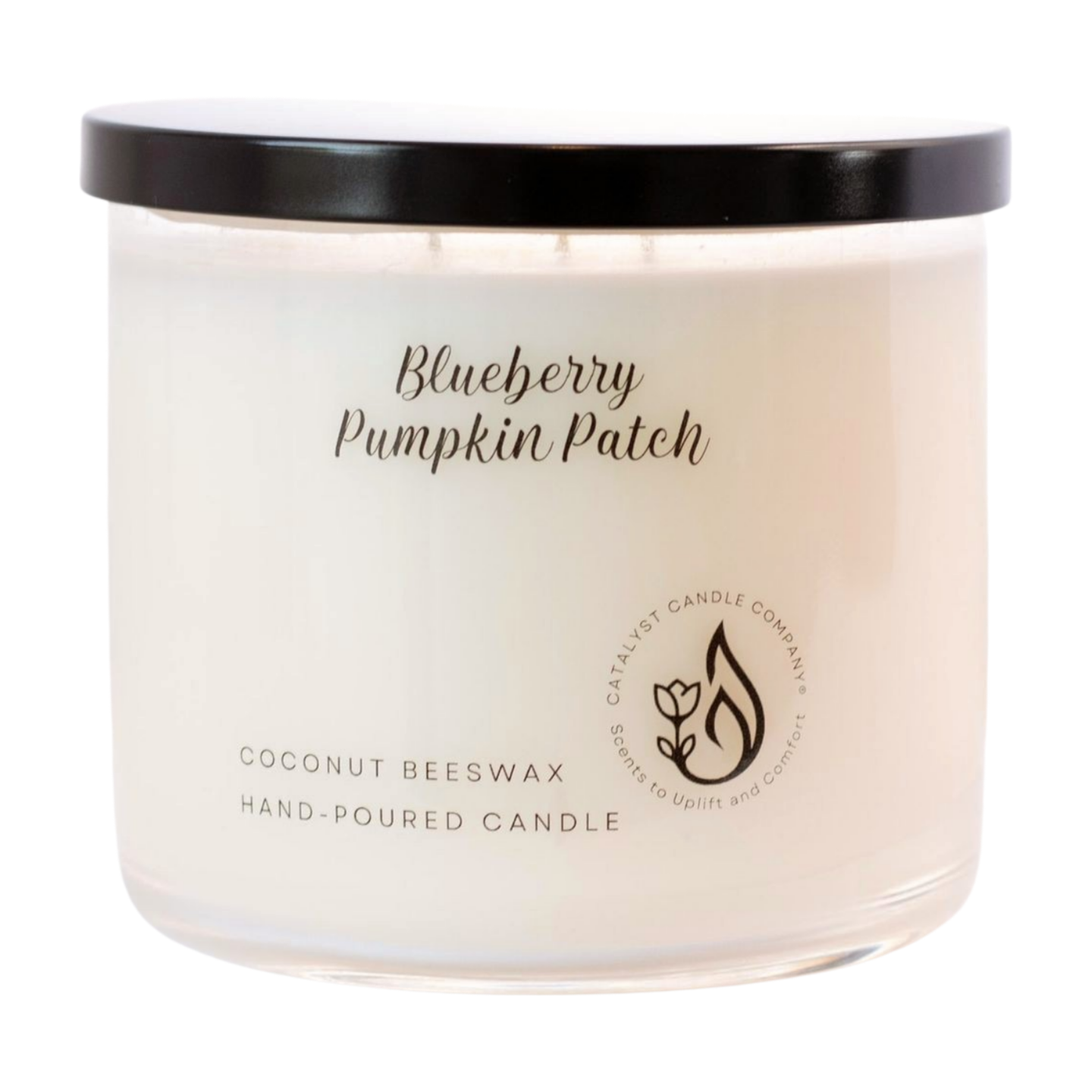 Blueberry Pumpkin Patch Scented Candle